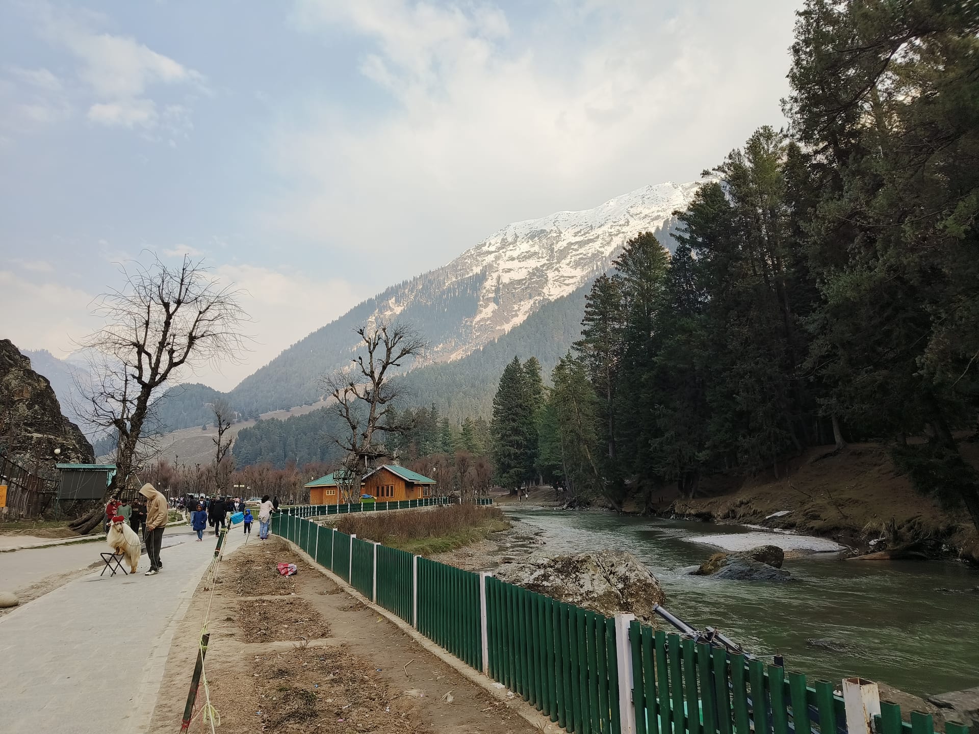 Kashmir Group Tour vs Private Tour — Which is Right for You?