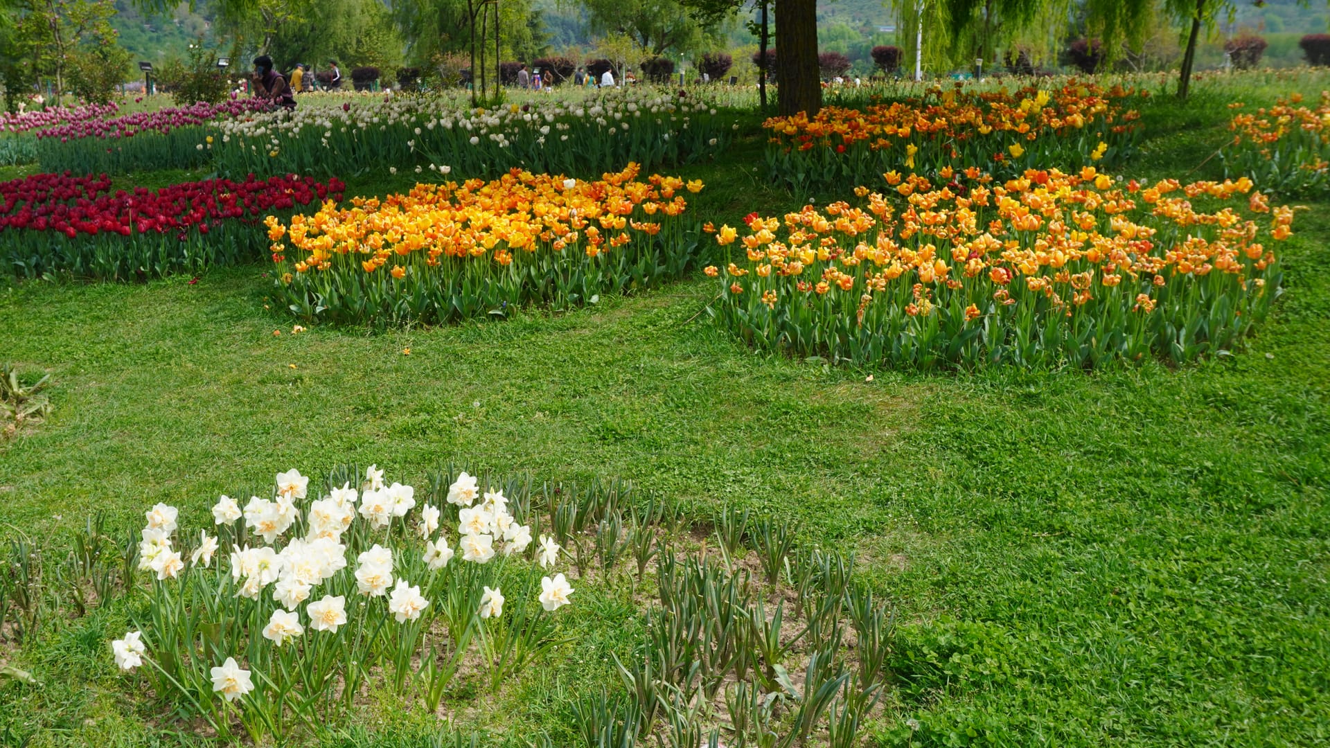 Kashmir Honeymoon in October 2026 — The Autumn Love Guide