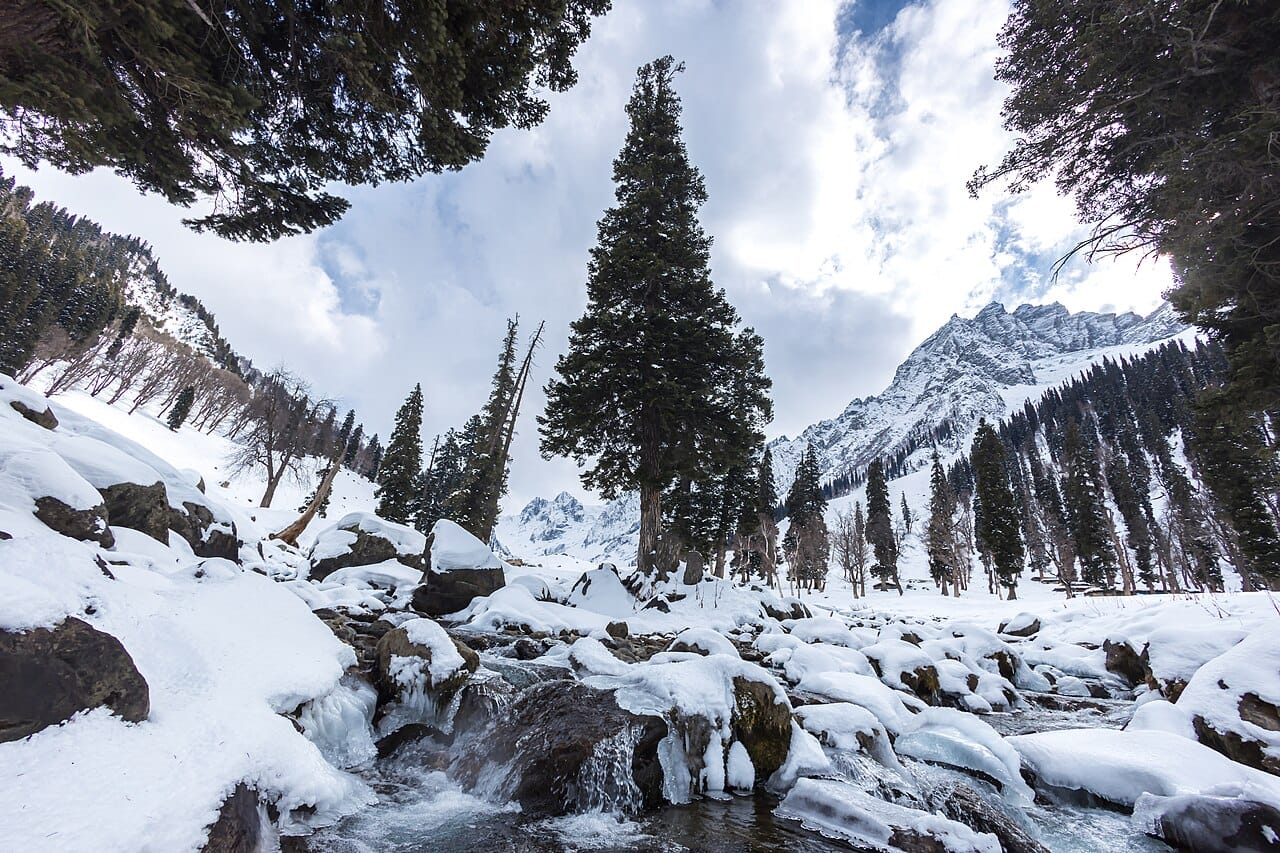 Trivilio vs Kesari Tours for Kashmir — Which is Better for You? (2026)
