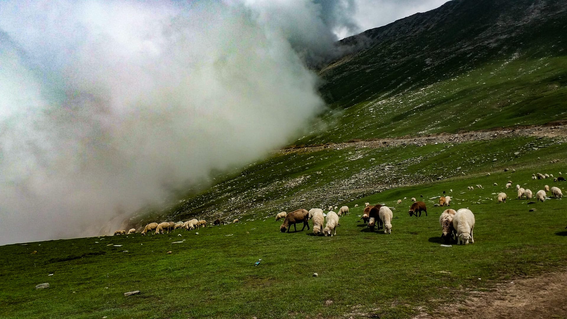 Kashmir Beyond Pahalgam — Daksum, Sinthan Top, Kokernag, Marwah and Warwan