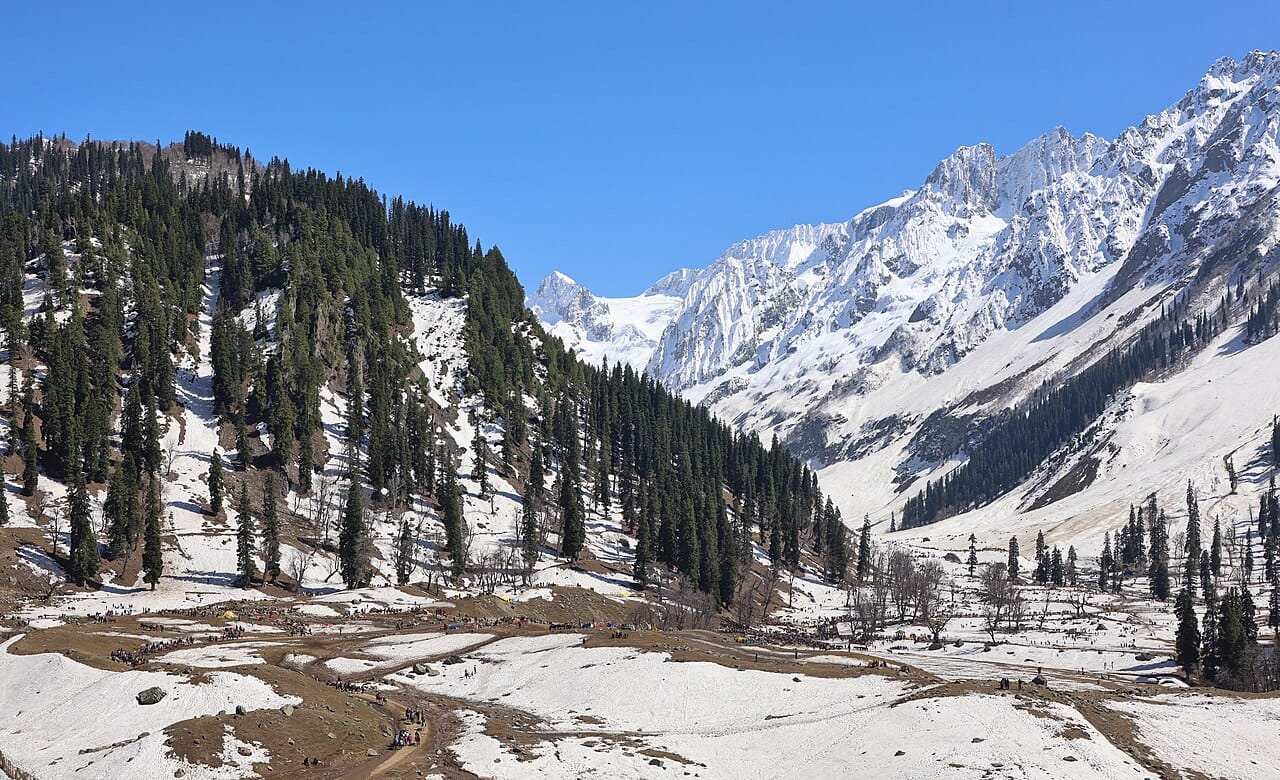 Trivilio vs Veena World for Kashmir — Full Comparison (2026)