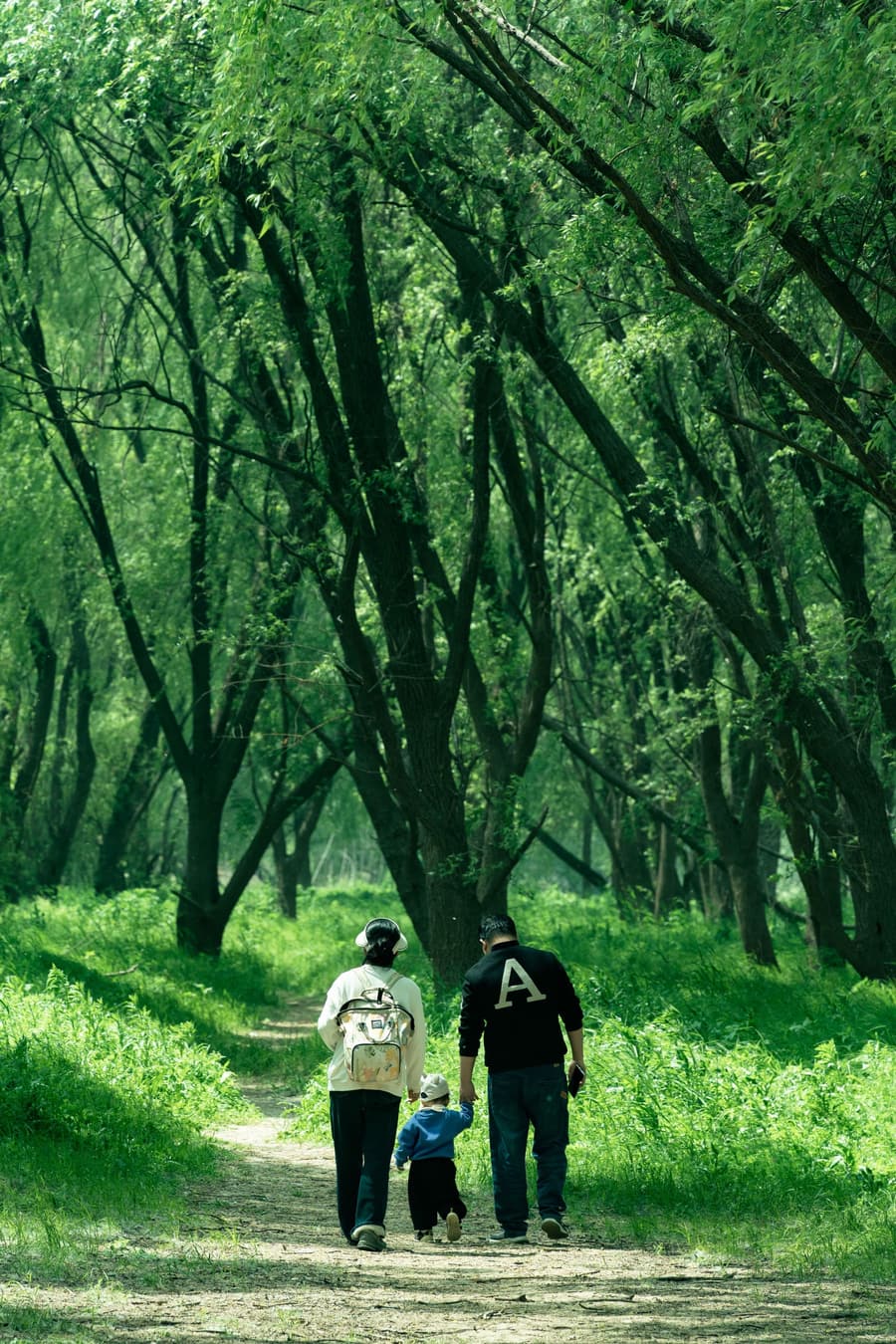 Family travelling in Kashmir