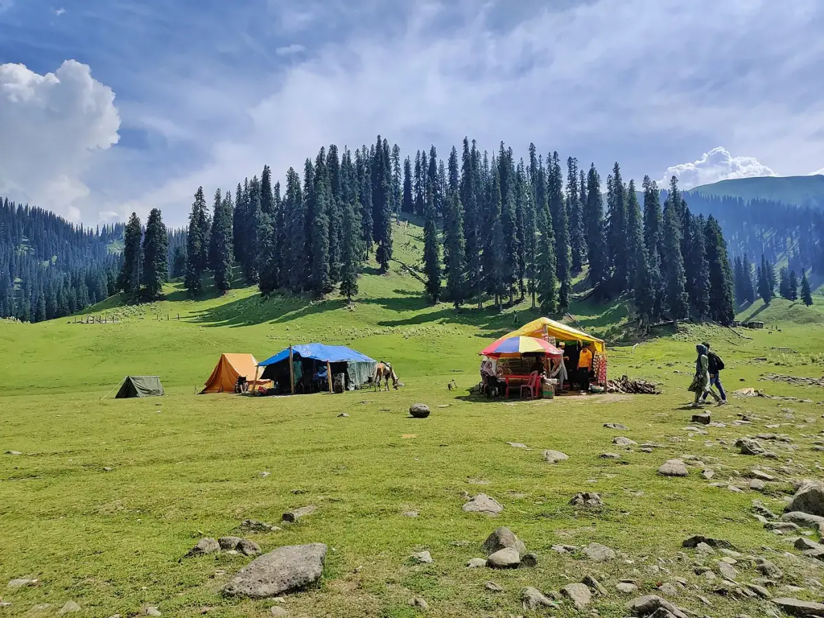 A wide green meadow ringed by conifers in Bangus Valley