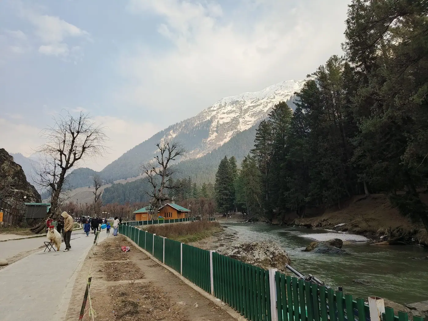 Betaab Valley in Pahalgam, wide and green