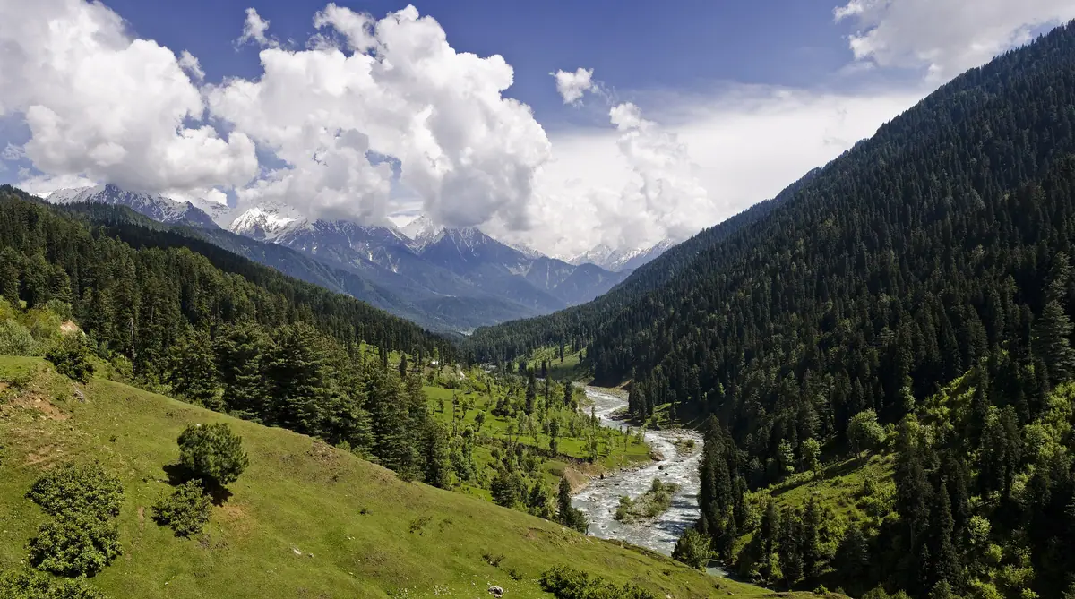 The Lidder River winding through the green Pahalgam Valley