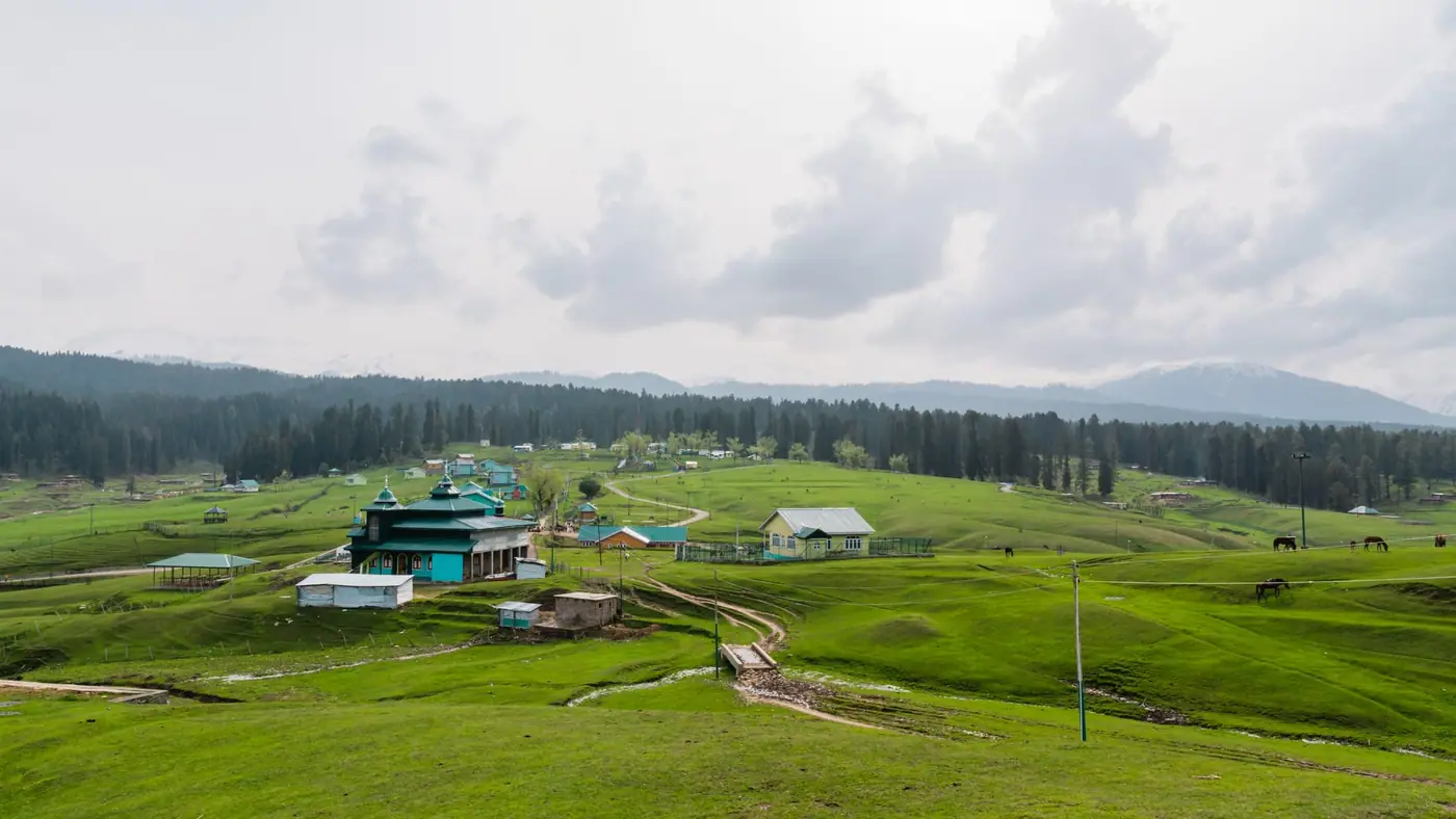 A green meadow at Yusmarg with pine forest beyond